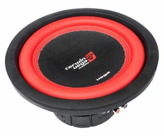 woofer de 10 pulgadas